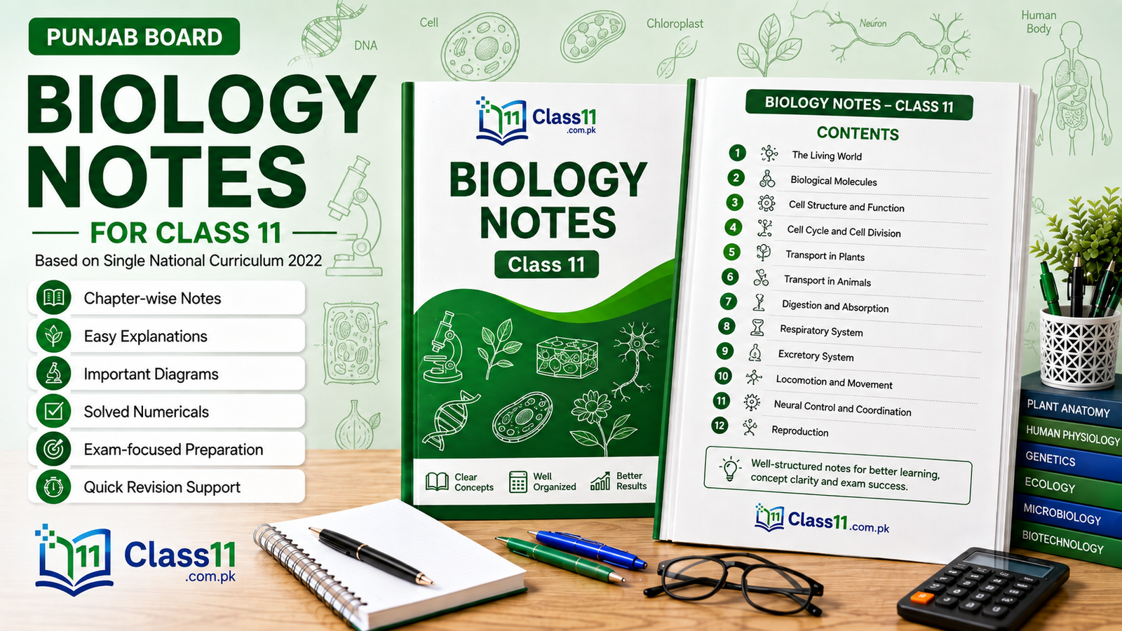Class 11 Biology Notes